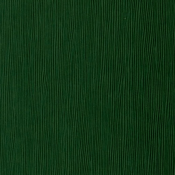 rainurex (2)_000_005